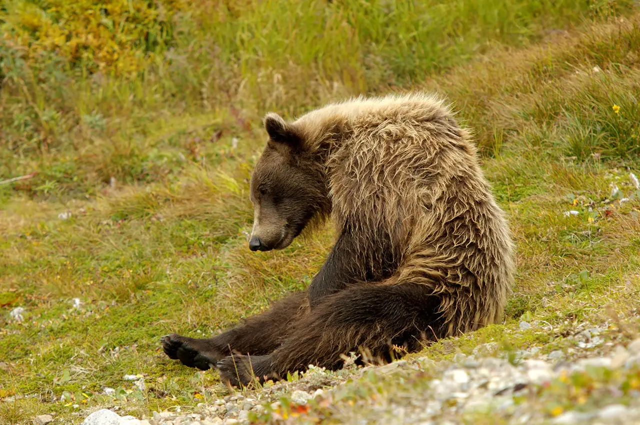 Activity near Hungry Moose Bed and Breakfast