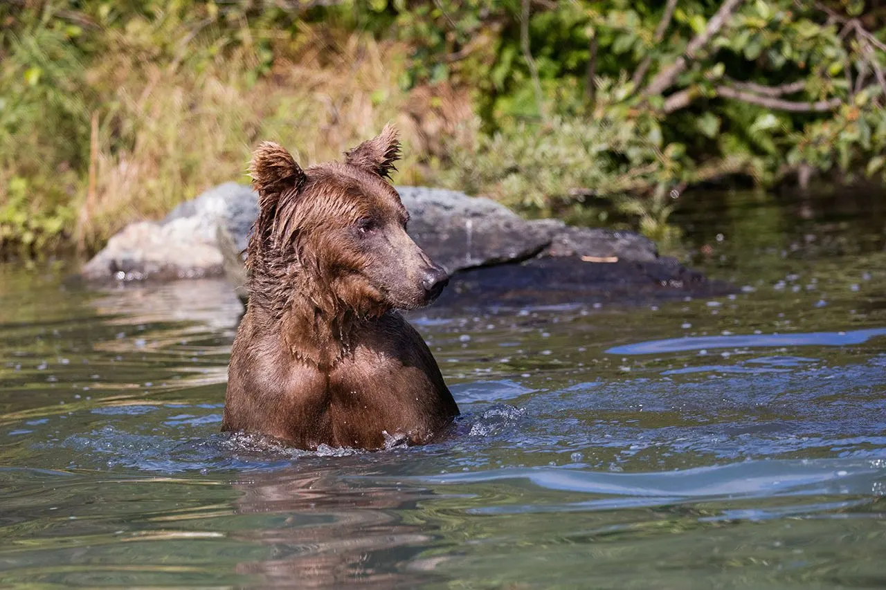 Activity near Hungry Moose Bed and Breakfast