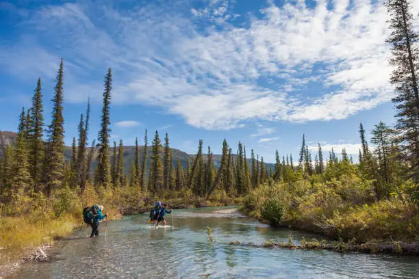 Activity near Hungry Moose Bed and Breakfast